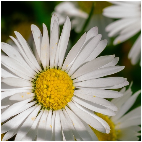 810 7239-001-20190517