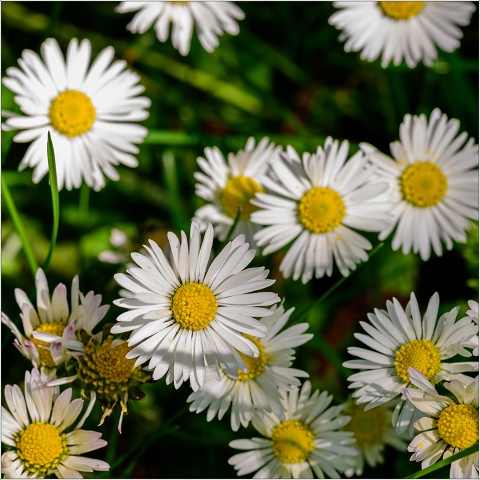 810 7239-002-20190517