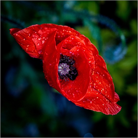 810 7586-004-20190610