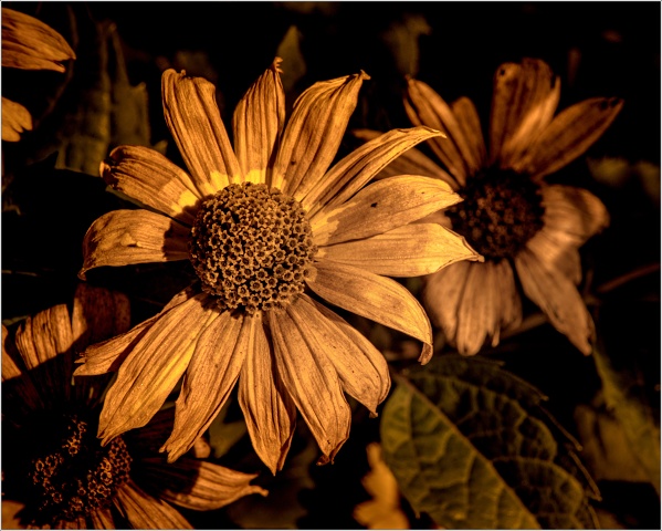  8100734-036-20210924