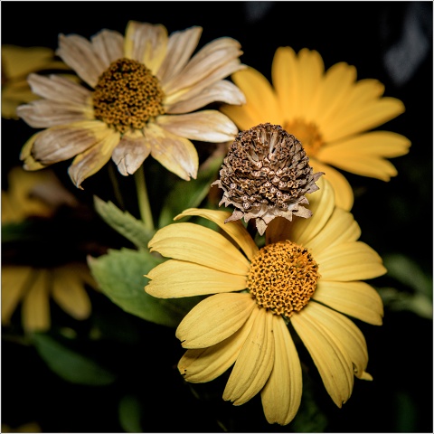  8109619-011-20200828