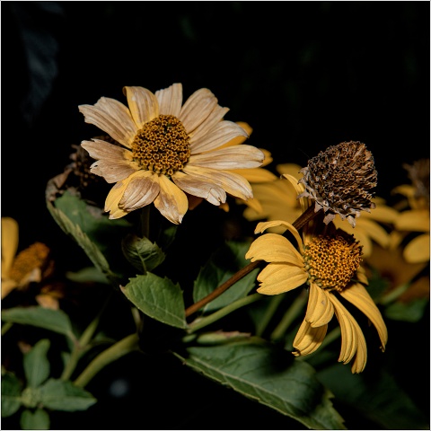  8109635-030-20200828