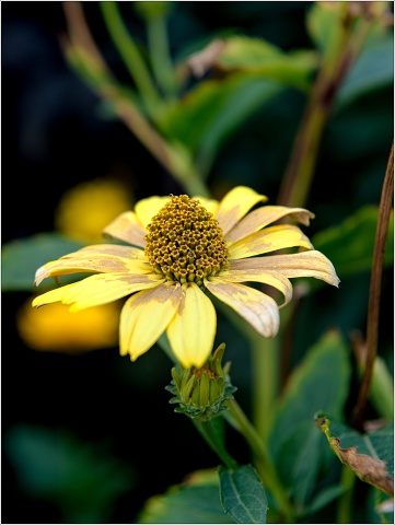  8109674-033-20200914