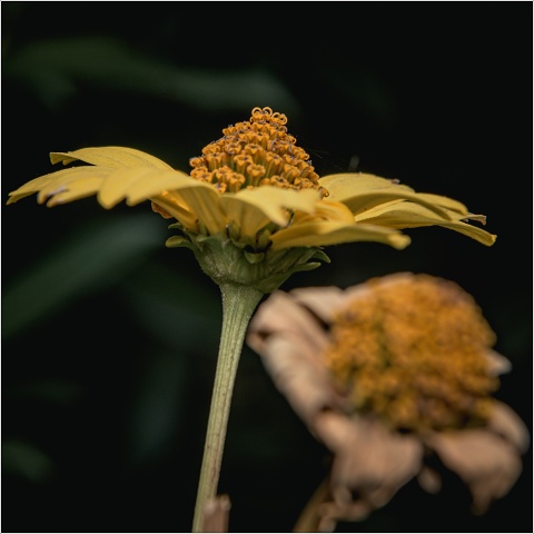  8109719-034-20200929