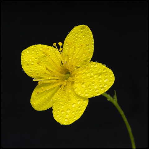  XT30309-005-20200424