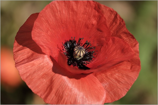  XT30572-013-20200517