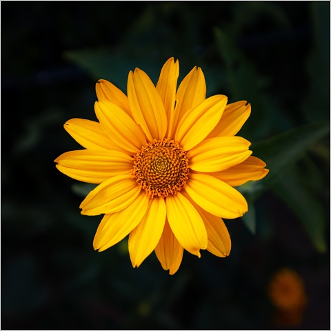  XT33494-024-20200719